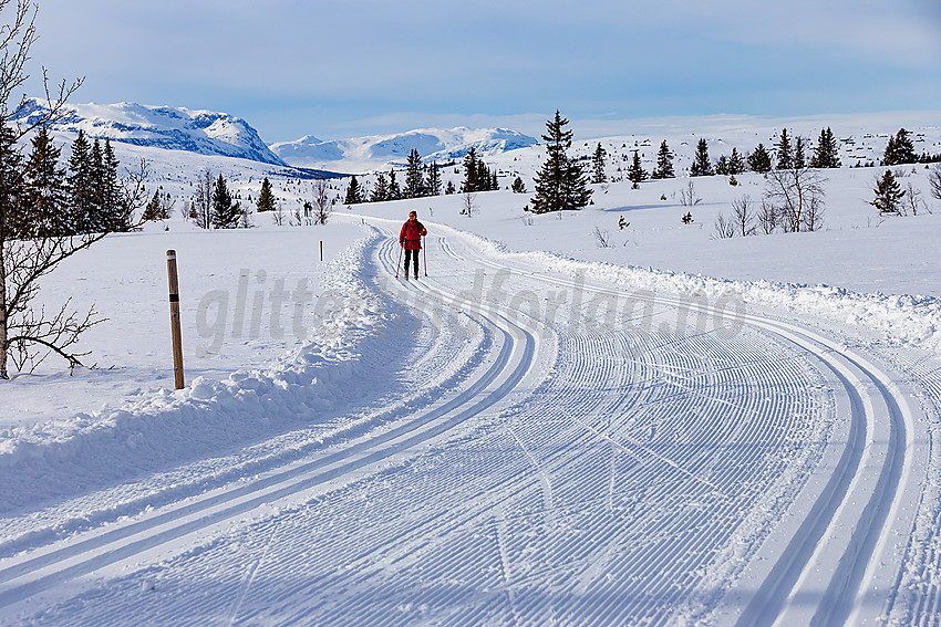 Skiløper i løypenettet til Vestfjelløypene.