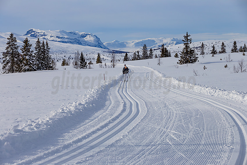 Skiløpere i løypenettet til Vestfjelløypene.