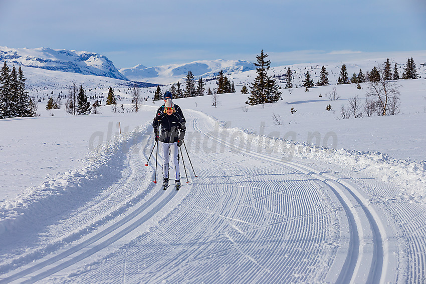 Skiløpere i løypenettet til Vestfjelløypene.