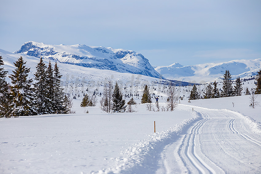 Skiløper i løypenettet til Vestfjelløypene.