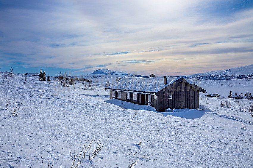 I løypenettet til Vestfjelløypene like ved Syndinstøga med Grønsennknippa i det fjerne.