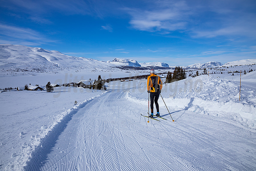 I løypenettet til Vestfjelløypene med Midtre Syndin og Grindane i bakgrunnen.