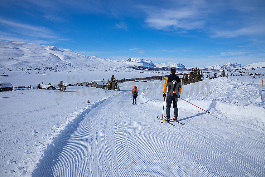 I løypenettet til Vestfjelløypene med Midtre Syndin og Grindane i bakgrunnen.