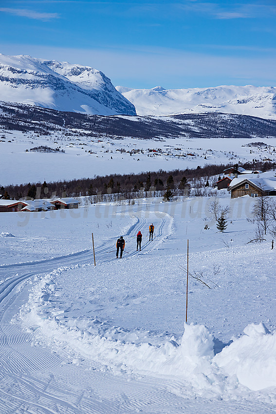 I løypenettet til Vestfjelløypene med Midtre Syndin og Grindane i bakgrunnen.