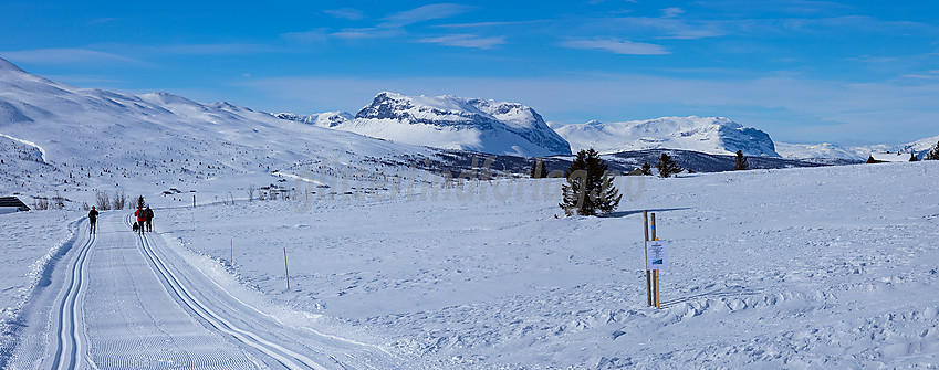 I løypenettet til Vestfjelløypene med Grindane i bakgrunnen.