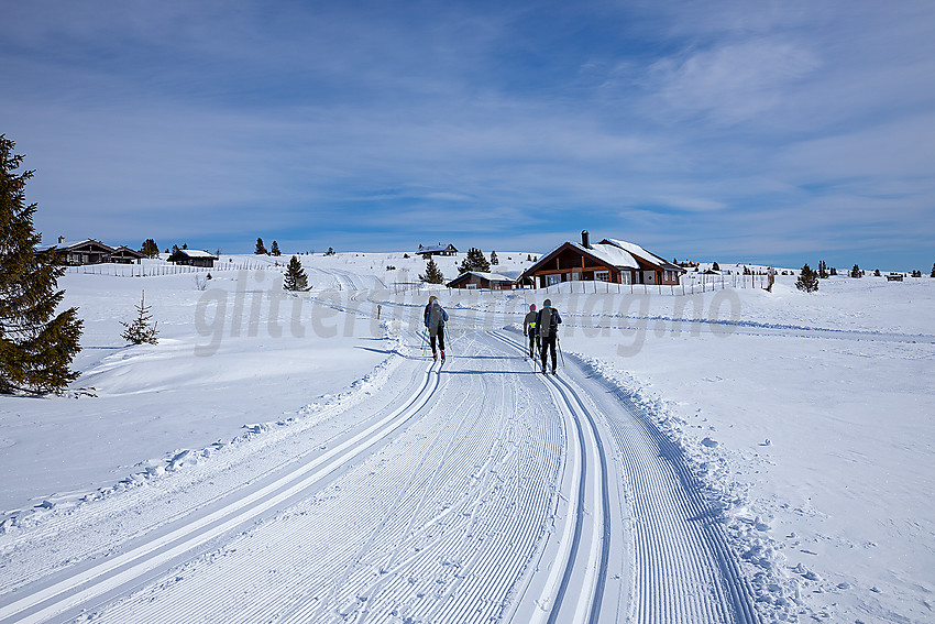 I løypenettet til Vestfjelløypene.