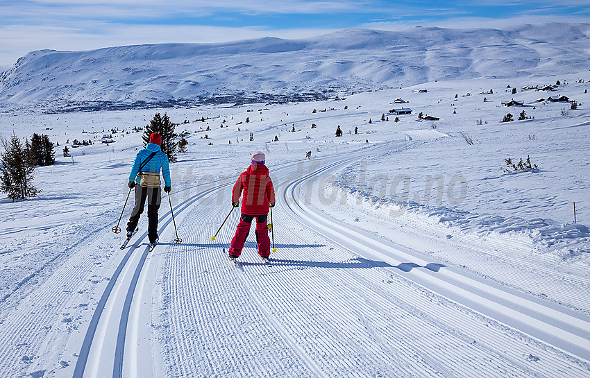 I løypenettet til Vestfjelløypene med Gilafjellet i bakgrunnen.