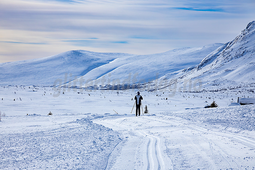 I løypenettet til Vestfjelløypene med Gråkampen i bakgrunnen.