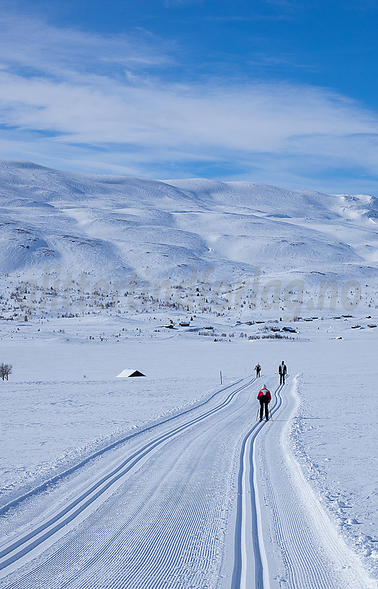 I løypenettet til Vestfjelløypene med Gilafjellet i bakgrunnen.