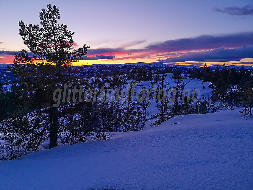 Utsikt fra Kongsgårdkollen på Fjøsvikfjellet i blåtimen.