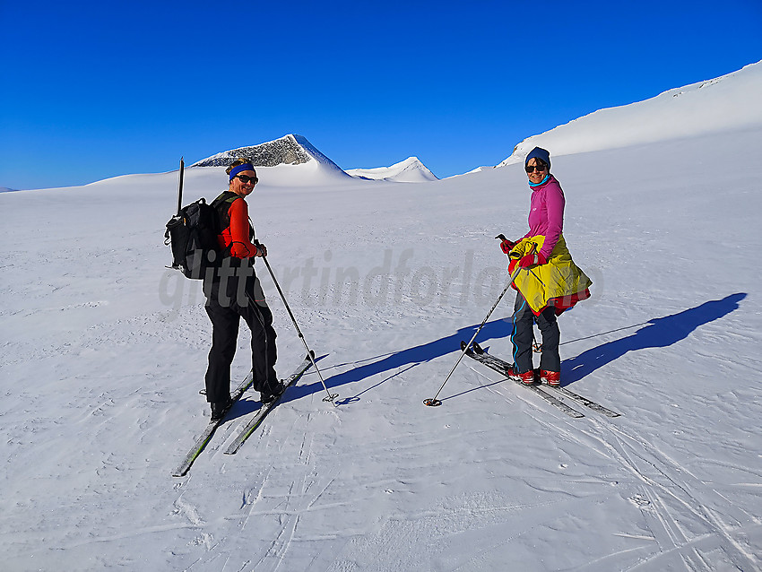 På Holåbrean med Holåtindane bakenfor.