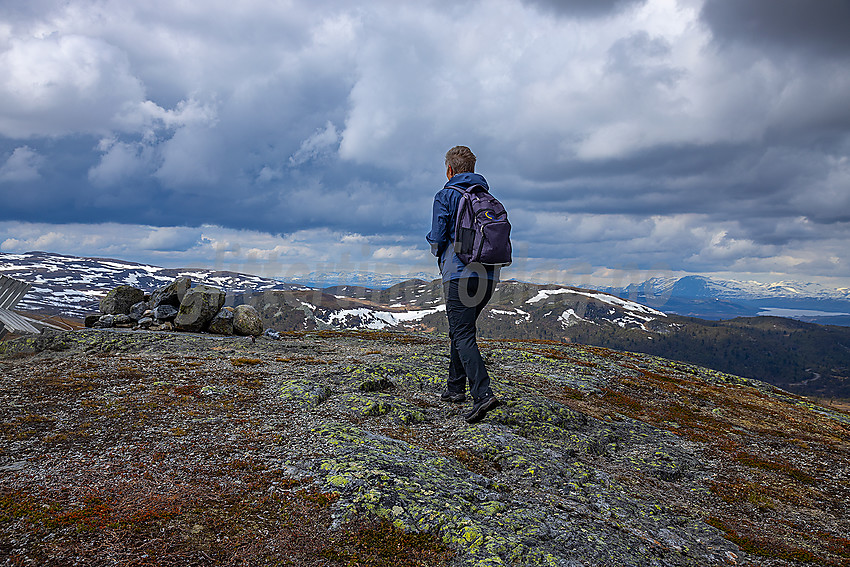 På toppen av Hollastølsfjellet.