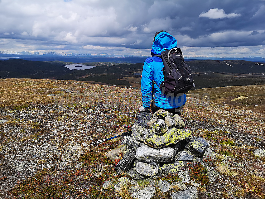 Utsikt fra Langehallfjellet.