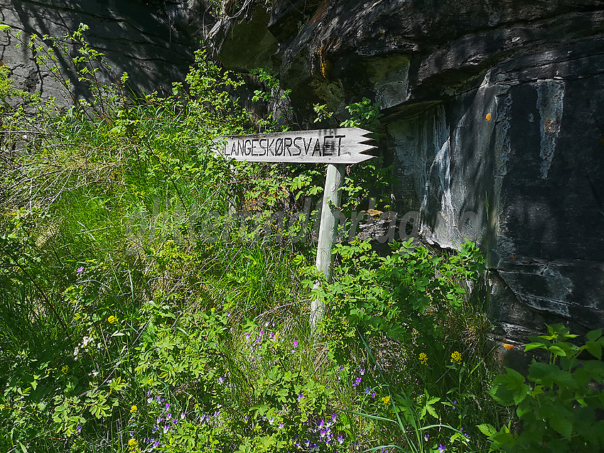 Ved Langeskørsvaet på Leirholstigen.