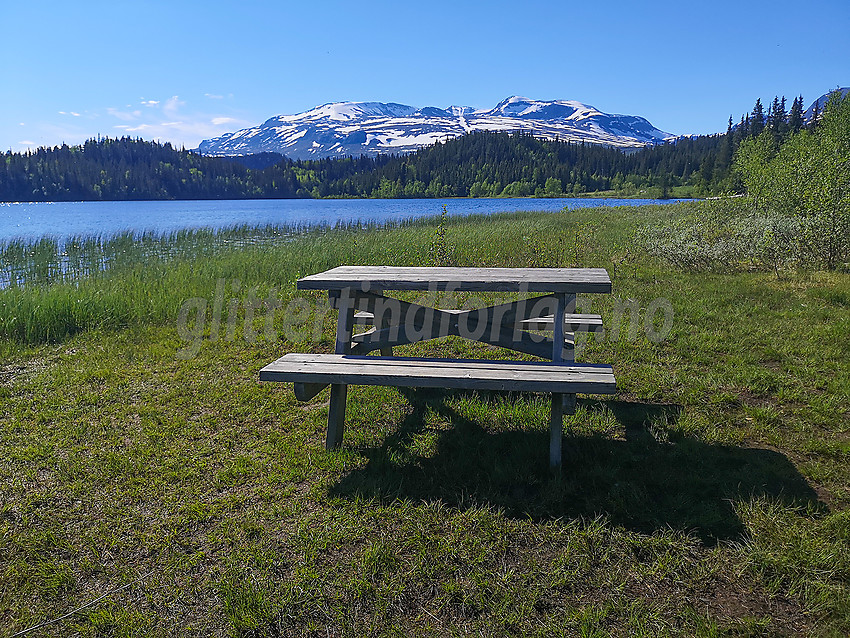 Ved Laglim med Vennisfjellmassivet bakenfor.