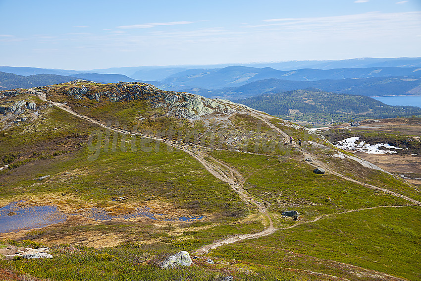 På Knausehøgdryggen ved Beitostølen.