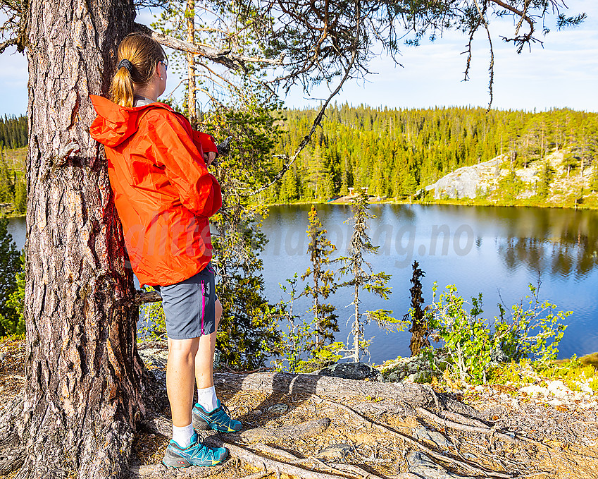 Fra Køltjernberget mot Køltjernet.