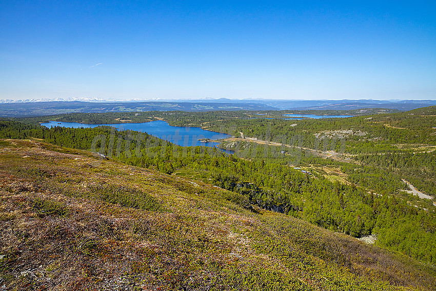 Fra Falken mot Stogofjorden.