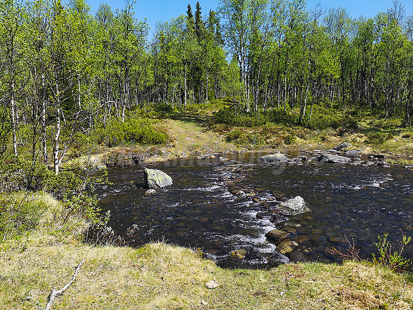 Krysningspunkt for sykkelruta Tisleidalen rundt over Stogoelva.