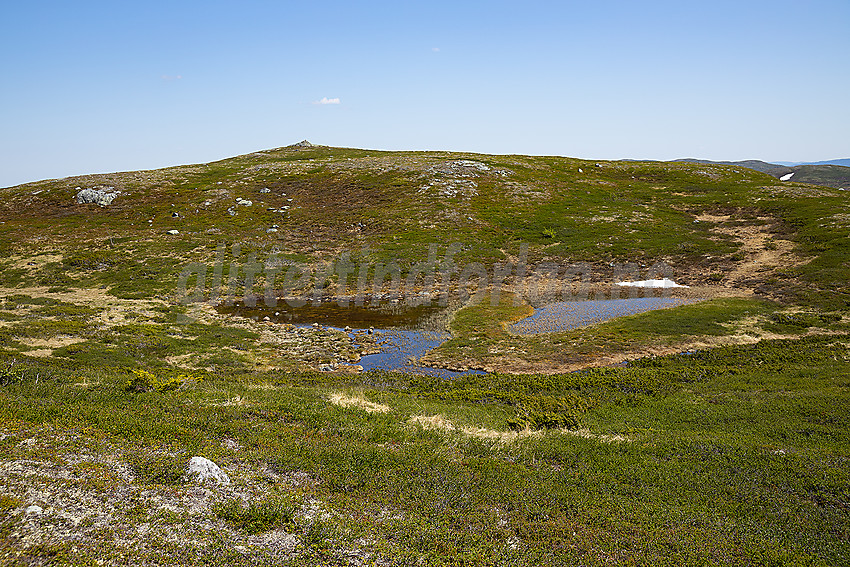 Toppen på Haugsetfjellet.