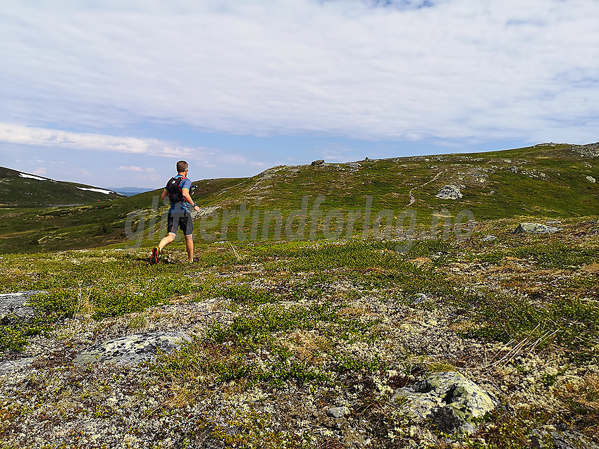 Fjelløping på Bjødalsfjellet. 