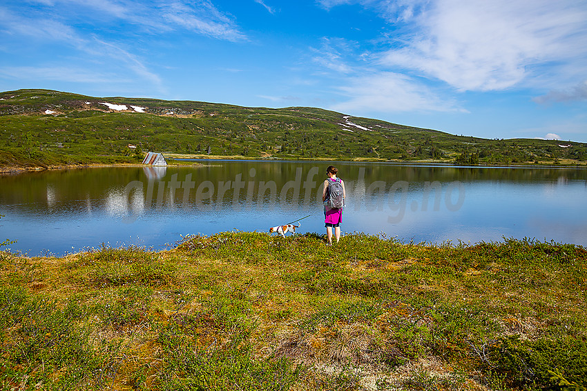 Ved Dansartjerne mot Rauddalsfjellet.