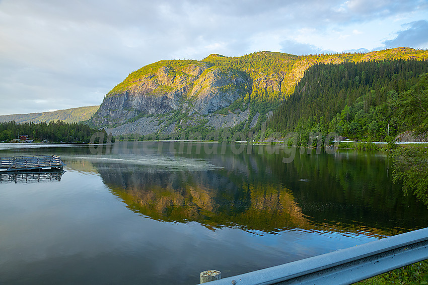 Sommermorgen ved Norsvinsfjorden i Vang.