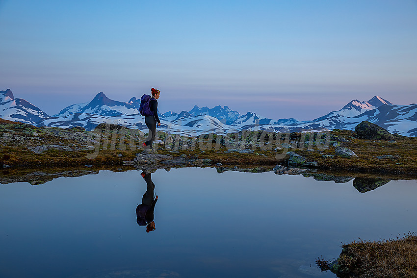 Sommermorgen på Utsikten, med Jotunheimens tinder i bakgrunnen.