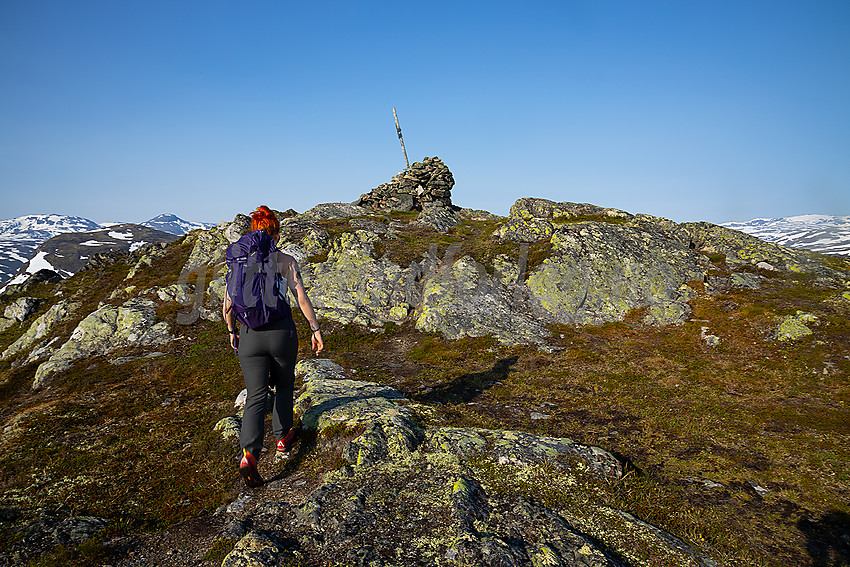 Mot toppen på Stølsnøse.