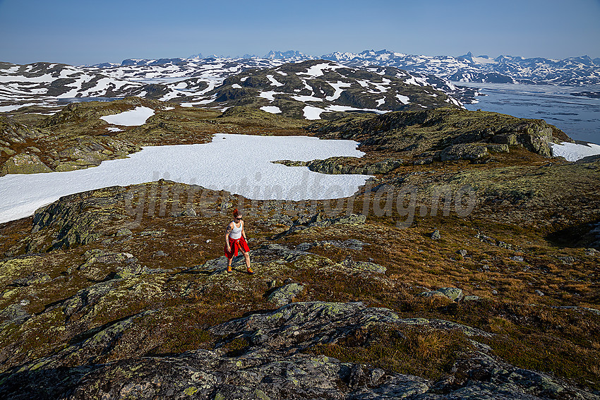 På toppen av Stølsnøse med utsikt mot Tyin og Jotunheimen.