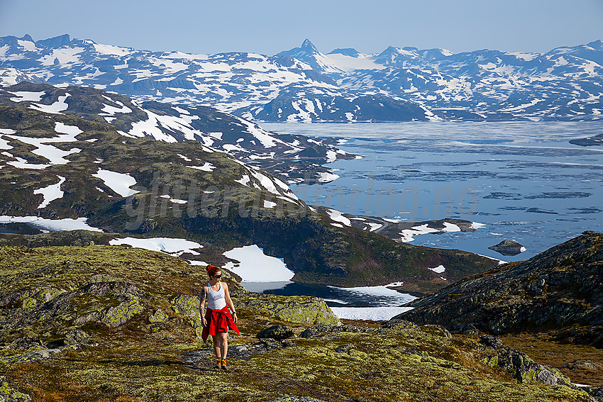 På toppen av Stølsnøse med utsikt mot Tyin og Jotunheimen.