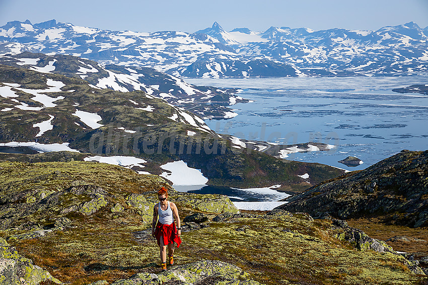 På toppen av Stølsnøse med utsikt mot Tyin og Jotunheimen.