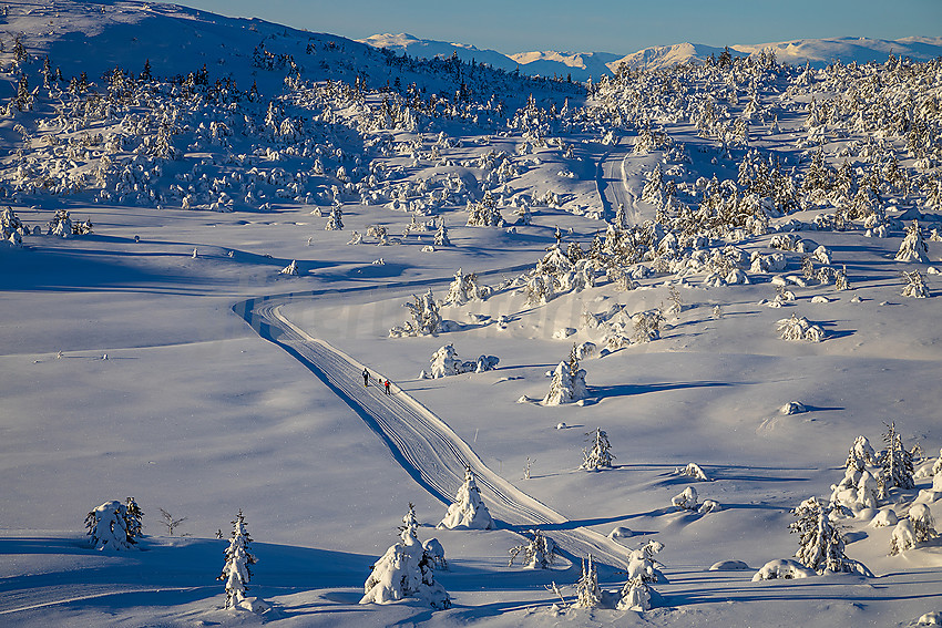 Løypenettet til Makalaus løypelag, like ovenfor Stavadalen alpinsenter.