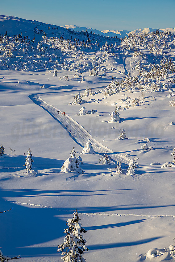 Løypenettet til Makalaus løypelag, like ovenfor Stavadalen alpinsenter.