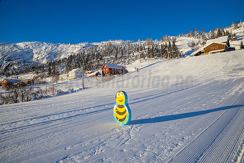 Stavadalen alpinsenter.