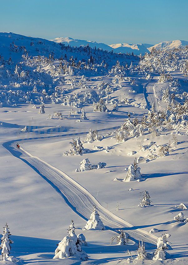 Løypenettet til Makalaus løypelag, like ovenfor Stavadalen alpinsenter.