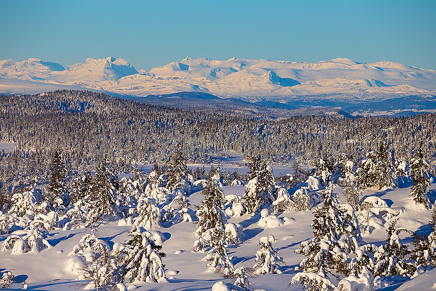 Løypenettet til Makalaus løypelag, like ovenfor Stavadalen alpinsenter. Telelinse mot Jotunheimen.