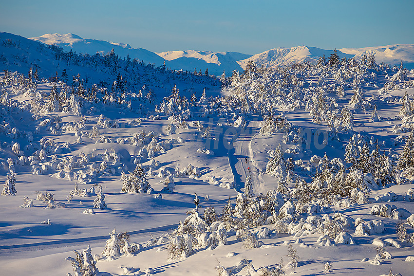 Løypenettet til Makalaus løypelag, like ovenfor Stavadalen alpinsenter.