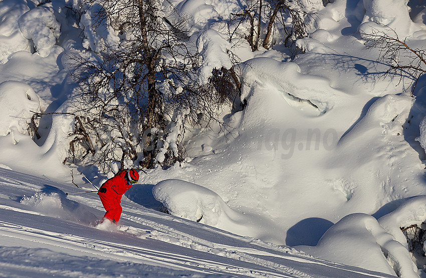 Stavadalen alpinsenter.