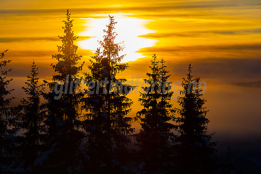 Valdres alpinsenter i Aurdal en flott januardag.