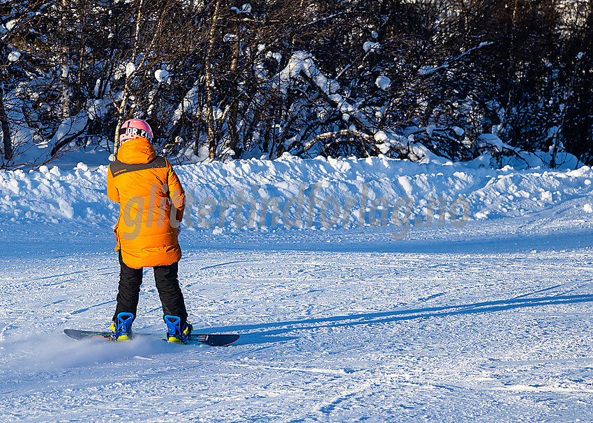 Vaset alpinsenter.