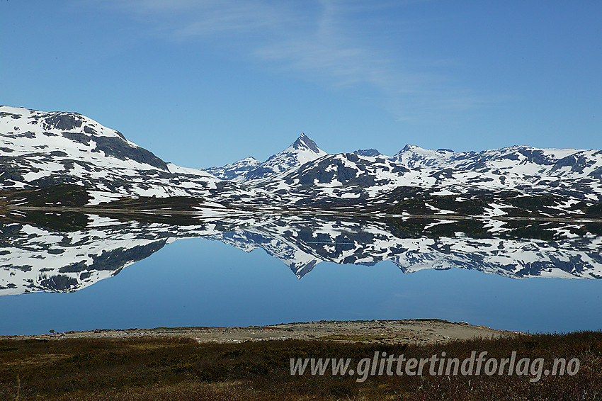 Ved Tyin med bl.a. Uranostinden (2157 moh) som speiler seg i det blikkstille vannet.