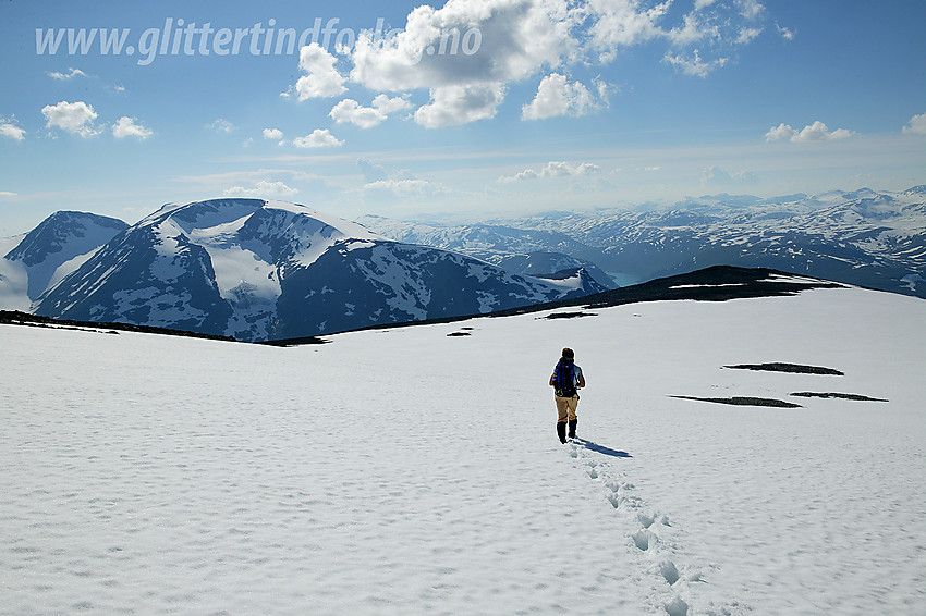 På vei vestover Dumhøplatået. I bakgrunnen dominerer Loftet (2170 moh).