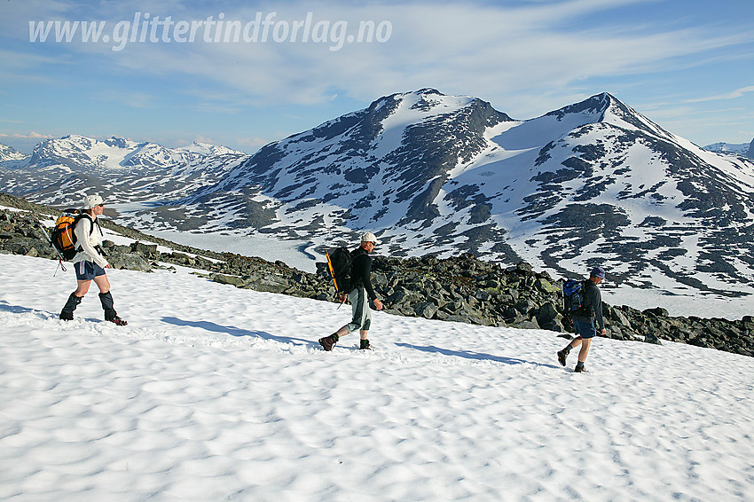 På vei ned fjellsiden nord for Langvatnet med Skarddalseggje (2159 moh) og Skarddalstinden i bakgrunnen. I det fjerne ses også en del av Gjendealpene.