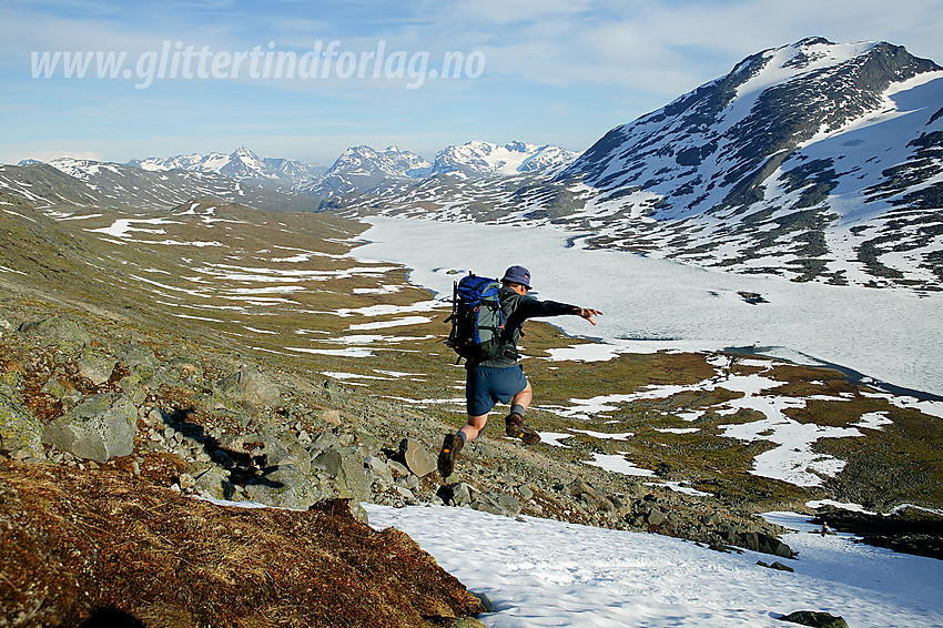 Et spenstig hopp ut på et snøfelt i lia nord for Langvatnet. Bak til høyre ses Skarddalseggje (2159 moh) mens Gjendealpene pryder horisonten.