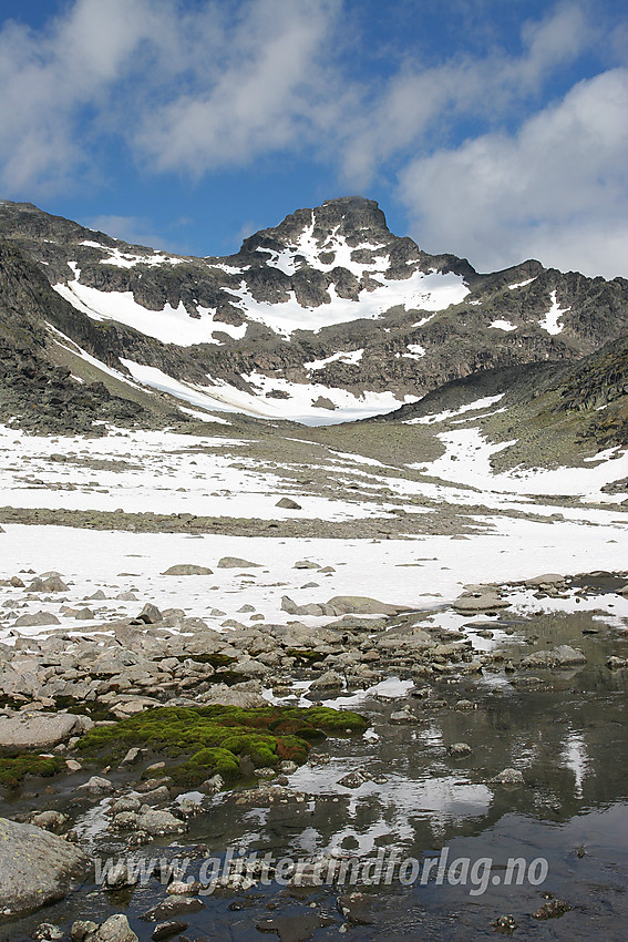 Mesmogtinden (2264 moh) sett fra sør, ved inngangen til botnen, mellom Kvitskardoksle og Søre Langedalstinden.