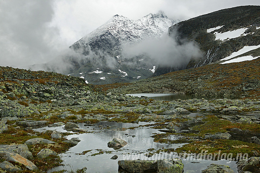 På Øvre Dyrhaug med nordre del av Skagastølsryggen (2167 moh) i bakgrunnen.