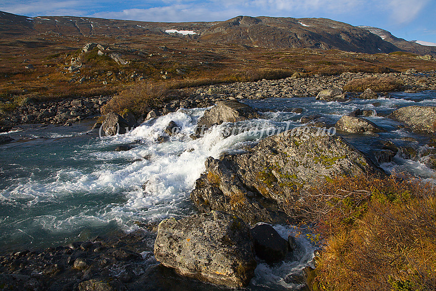 Russa i Russdalen. Bessfjellet i bakgrunnen.