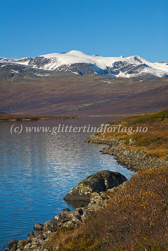 På merket sti på nordsiden av Russvatnet med utsikt i retning Styggehøbreatindane med Søraustre (2232 moh) sentralt.