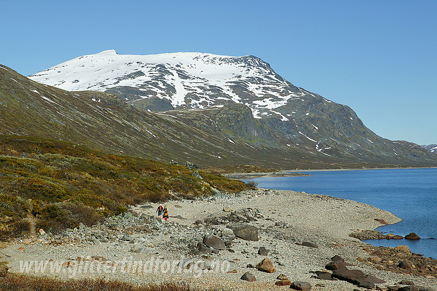 På vei mot Galdebergtinden som ruver over Bygdin.